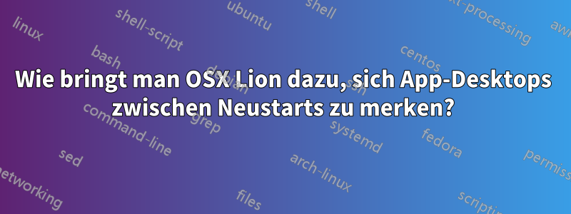 Wie bringt man OSX Lion dazu, sich App-Desktops zwischen Neustarts zu merken?