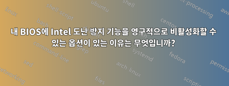 내 BIOS에 Intel 도난 방지 기능을 영구적으로 비활성화할 수 있는 옵션이 있는 이유는 무엇입니까?