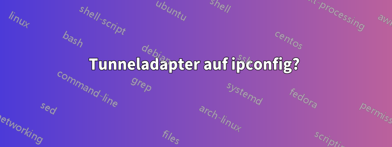 Tunneladapter auf ipconfig?