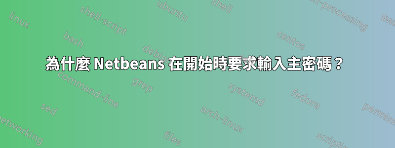 為什麼 Netbeans 在開始時要求輸入主密碼？