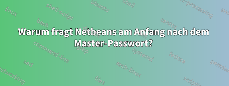 Warum fragt Netbeans am Anfang nach dem Master-Passwort?