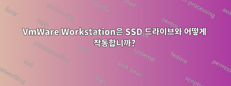 VmWare Workstation은 SSD 드라이브와 어떻게 작동합니까?