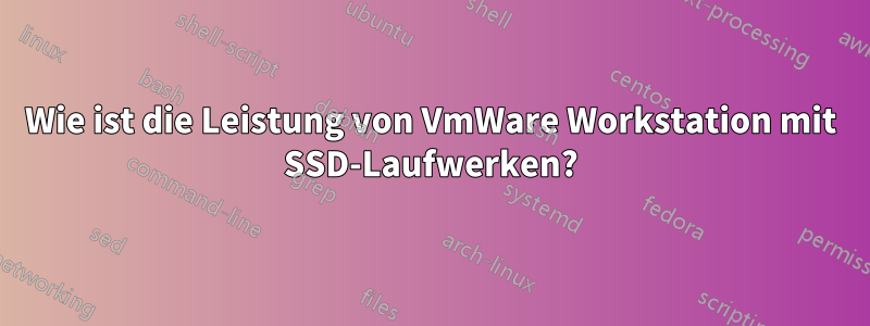 Wie ist die Leistung von VmWare Workstation mit SSD-Laufwerken?