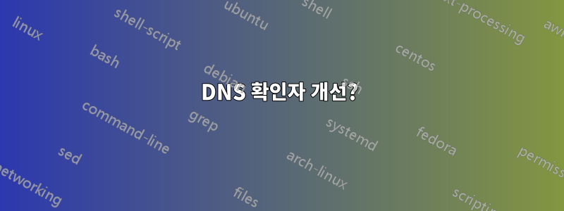 DNS 확인자 개선?