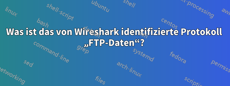 Was ist das von Wireshark identifizierte Protokoll „FTP-Daten“?