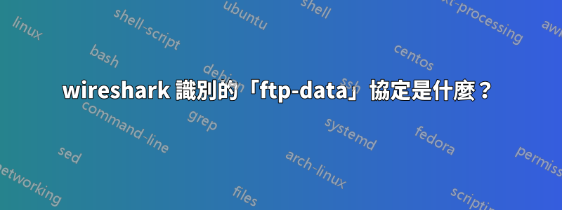 wireshark 識別的「ftp-data」協定是什麼？