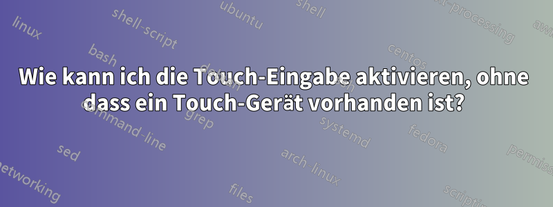 Wie kann ich die Touch-Eingabe aktivieren, ohne dass ein Touch-Gerät vorhanden ist?