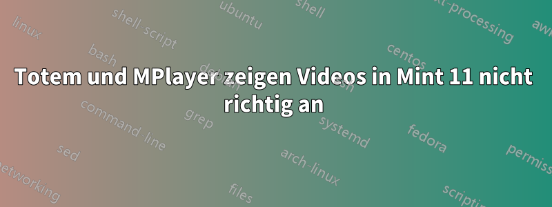 Totem und MPlayer zeigen Videos in Mint 11 nicht richtig an