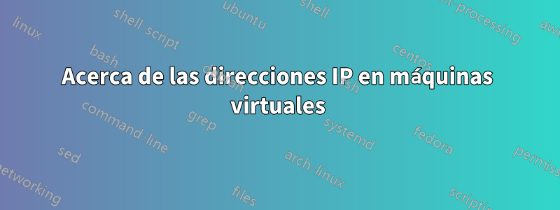 Acerca de las direcciones IP en máquinas virtuales