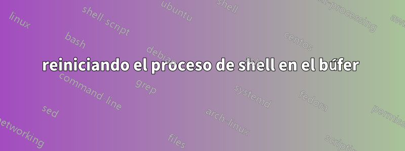 reiniciando el proceso de shell en el búfer