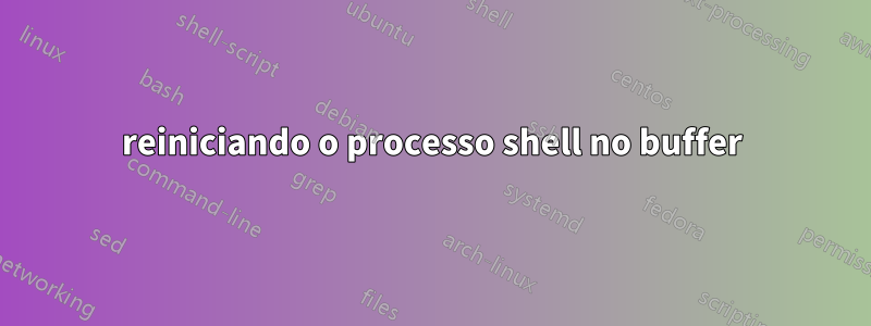 reiniciando o processo shell no buffer