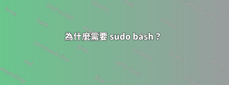 為什麼需要 sudo bash？