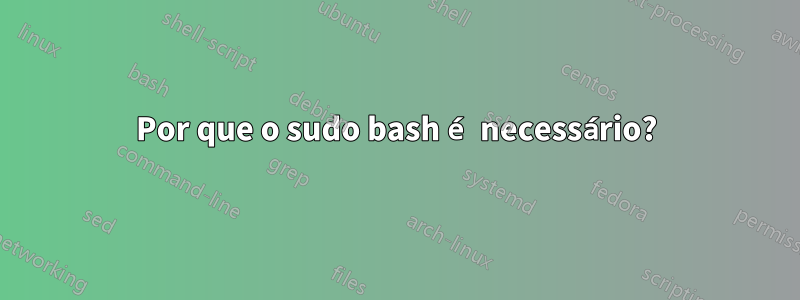 Por que o sudo bash é necessário?