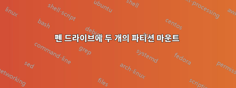 펜 드라이브에 두 개의 파티션 마운트