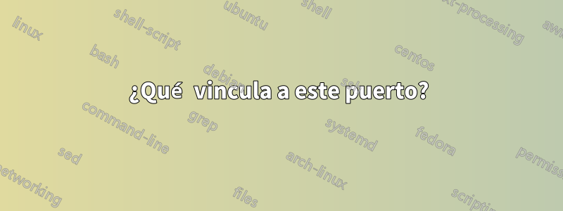 ¿Qué vincula a este puerto?