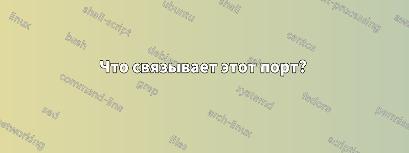 Что связывает этот порт?