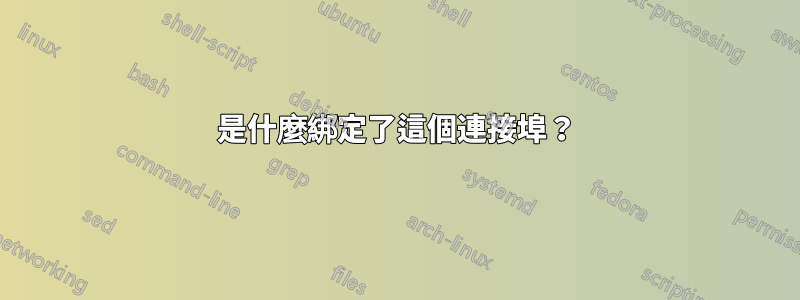 是什麼綁定了這個連接埠？