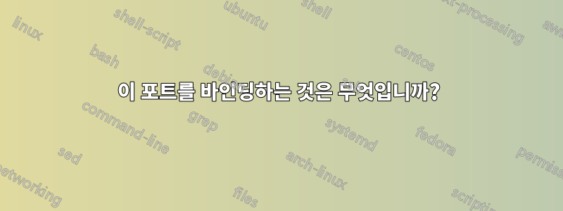 이 포트를 바인딩하는 것은 무엇입니까?