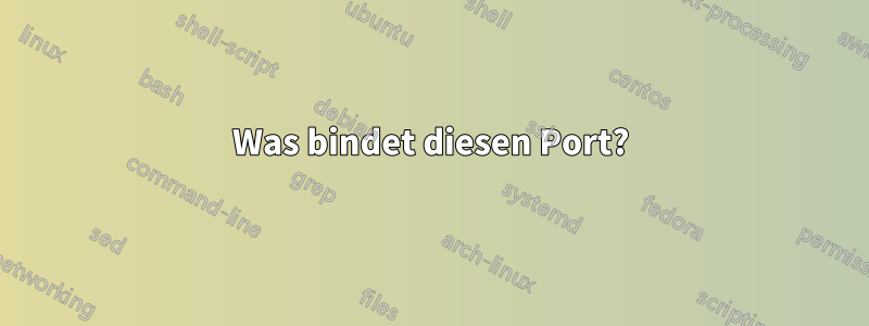 Was bindet diesen Port?