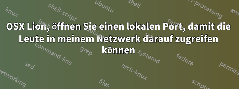 OSX Lion, öffnen Sie einen lokalen Port, damit die Leute in meinem Netzwerk darauf zugreifen können