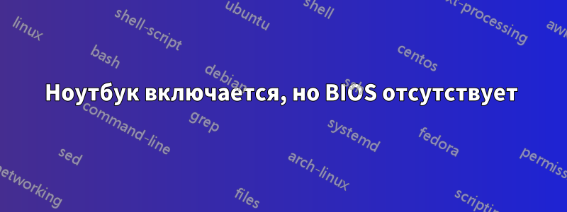 Ноутбук включается, но BIOS отсутствует