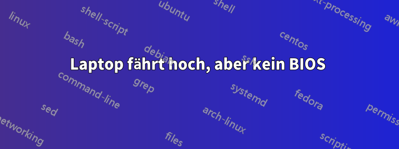 Laptop fährt hoch, aber kein BIOS