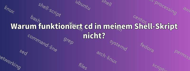 Warum funktioniert cd in meinem Shell-Skript nicht?