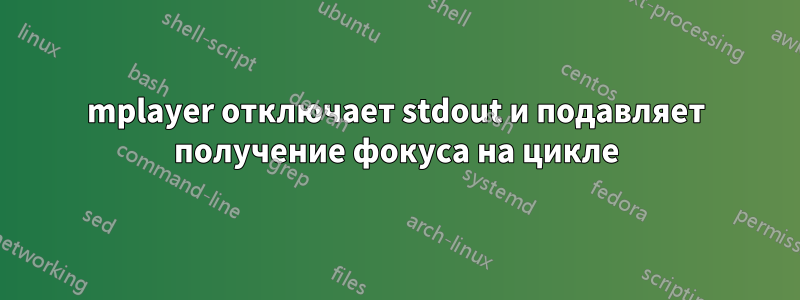 mplayer отключает stdout и подавляет получение фокуса на цикле