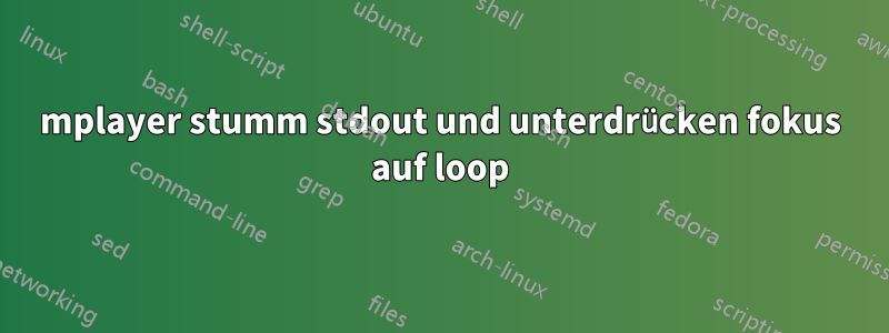 mplayer stumm stdout und unterdrücken fokus auf loop