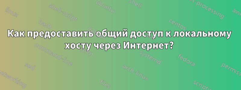 Как предоставить общий доступ к локальному хосту через Интернет?