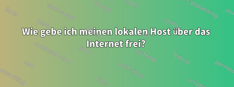 Wie gebe ich meinen lokalen Host über das Internet frei?