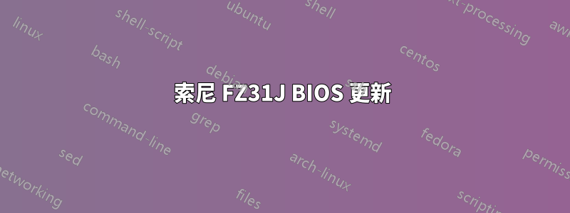 索尼 FZ31J BIOS 更新