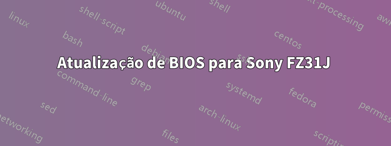 Atualização de BIOS para Sony FZ31J