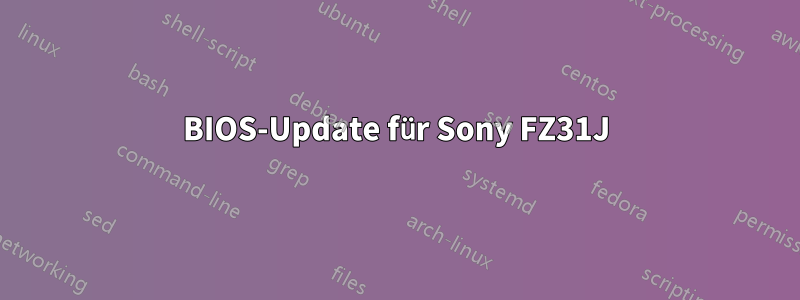 BIOS-Update für Sony FZ31J