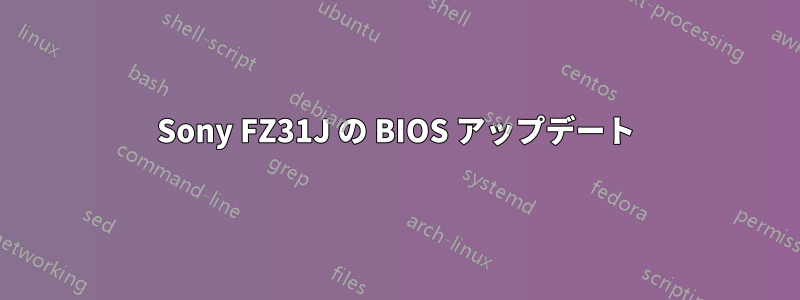 Sony FZ31J の BIOS アップデート