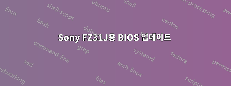 Sony FZ31J용 BIOS 업데이트