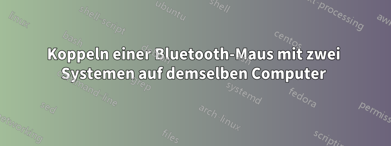 Koppeln einer Bluetooth-Maus mit zwei Systemen auf demselben Computer