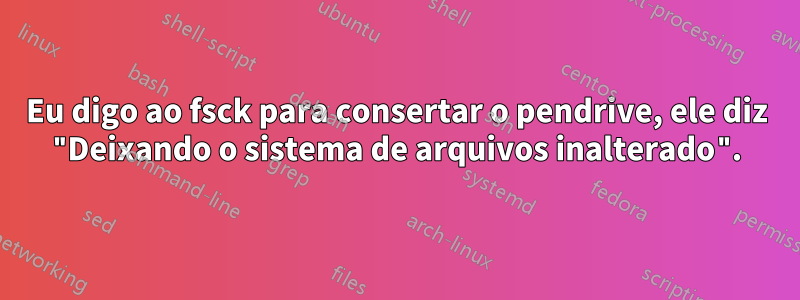 Eu digo ao fsck para consertar o pendrive, ele diz "Deixando o sistema de arquivos inalterado".