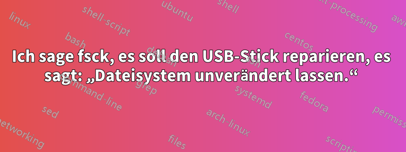 Ich sage fsck, es soll den USB-Stick reparieren, es sagt: „Dateisystem unverändert lassen.“