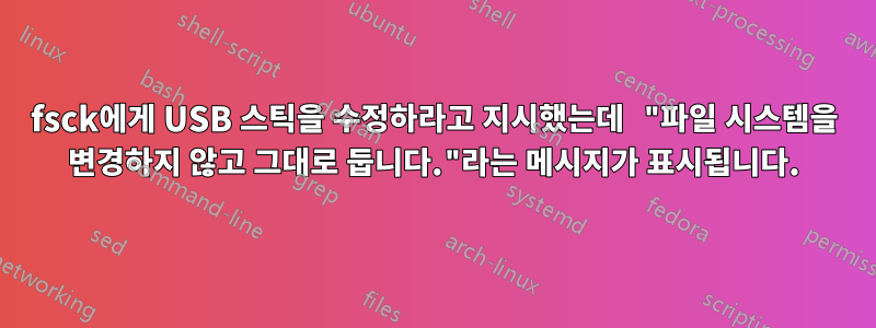 fsck에게 USB 스틱을 수정하라고 지시했는데 "파일 시스템을 변경하지 않고 그대로 둡니다."라는 메시지가 표시됩니다.