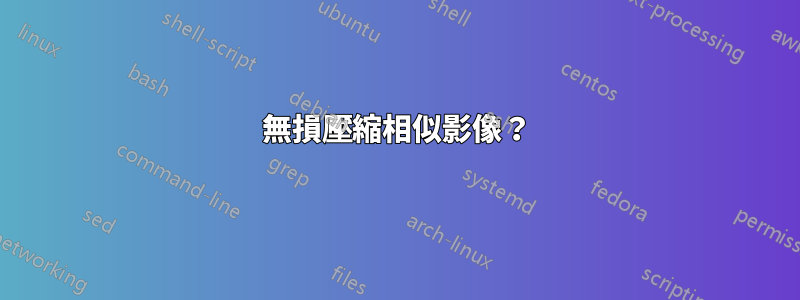 無損壓縮相似影像？