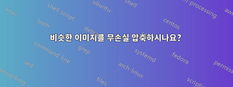 비슷한 이미지를 무손실 압축하시나요?