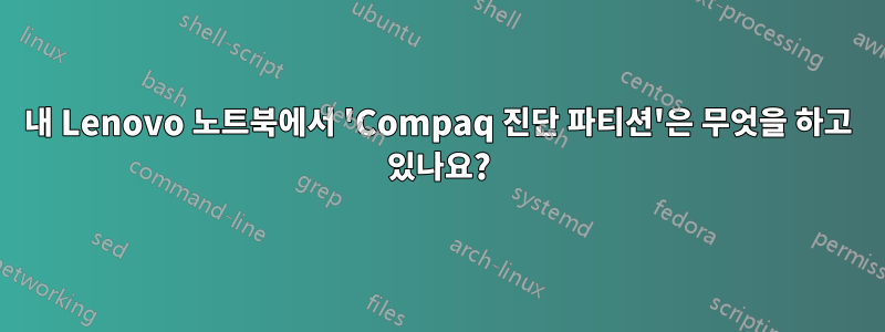 내 Lenovo 노트북에서 'Compaq 진단 파티션'은 무엇을 하고 있나요?