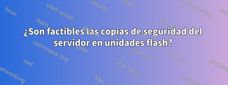 ¿Son factibles las copias de seguridad del servidor en unidades flash?