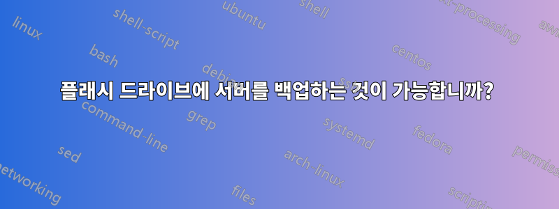 플래시 드라이브에 서버를 백업하는 것이 가능합니까?