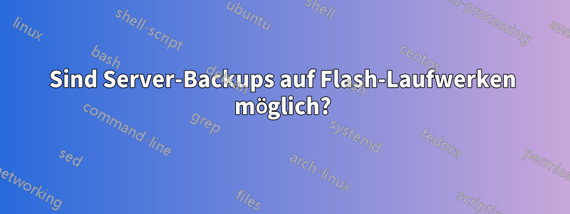 Sind Server-Backups auf Flash-Laufwerken möglich?