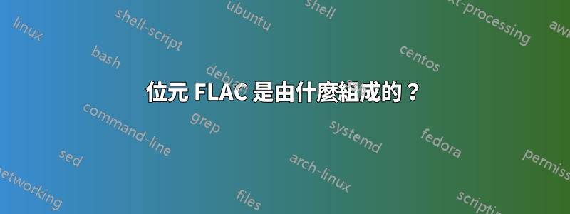 24 位元 FLAC 是由什麼組成的？