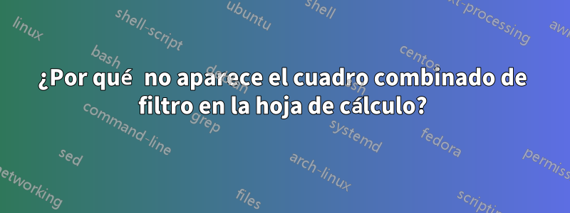 ¿Por qué no aparece el cuadro combinado de filtro en la hoja de cálculo?