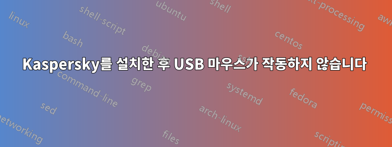 Kaspersky를 설치한 후 USB 마우스가 작동하지 않습니다