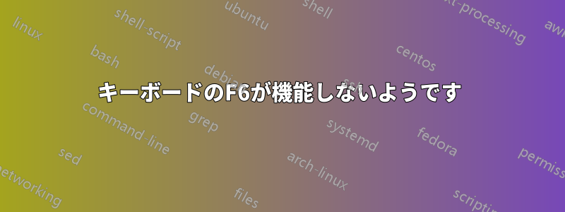 キーボードのF6が機能しないようです